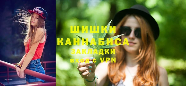 шишки Абаза