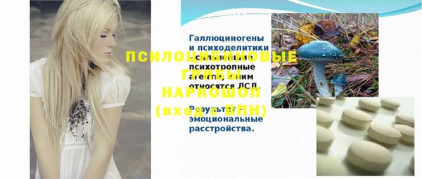 шишки Абаза