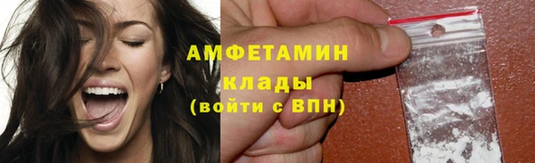 шишки Абаза