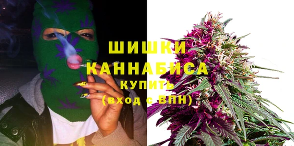 шишки Абаза