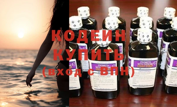 шишки Абаза