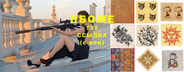стаф Ростов