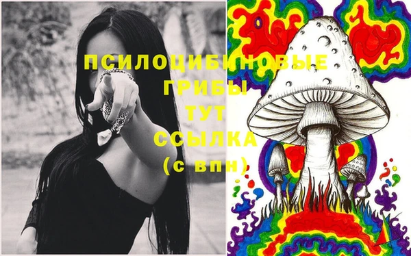 дмт Россошь