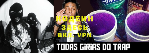 шишки Абаза