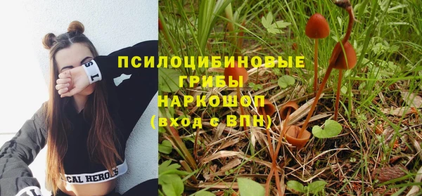 твердый Апатиты