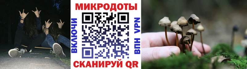 Псилоцибиновые грибы Psilocybine cubensis  Кедровый 